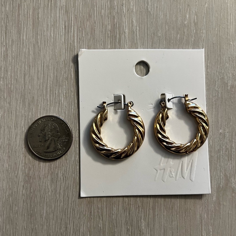 Twisted Hoop Earrings in Gold